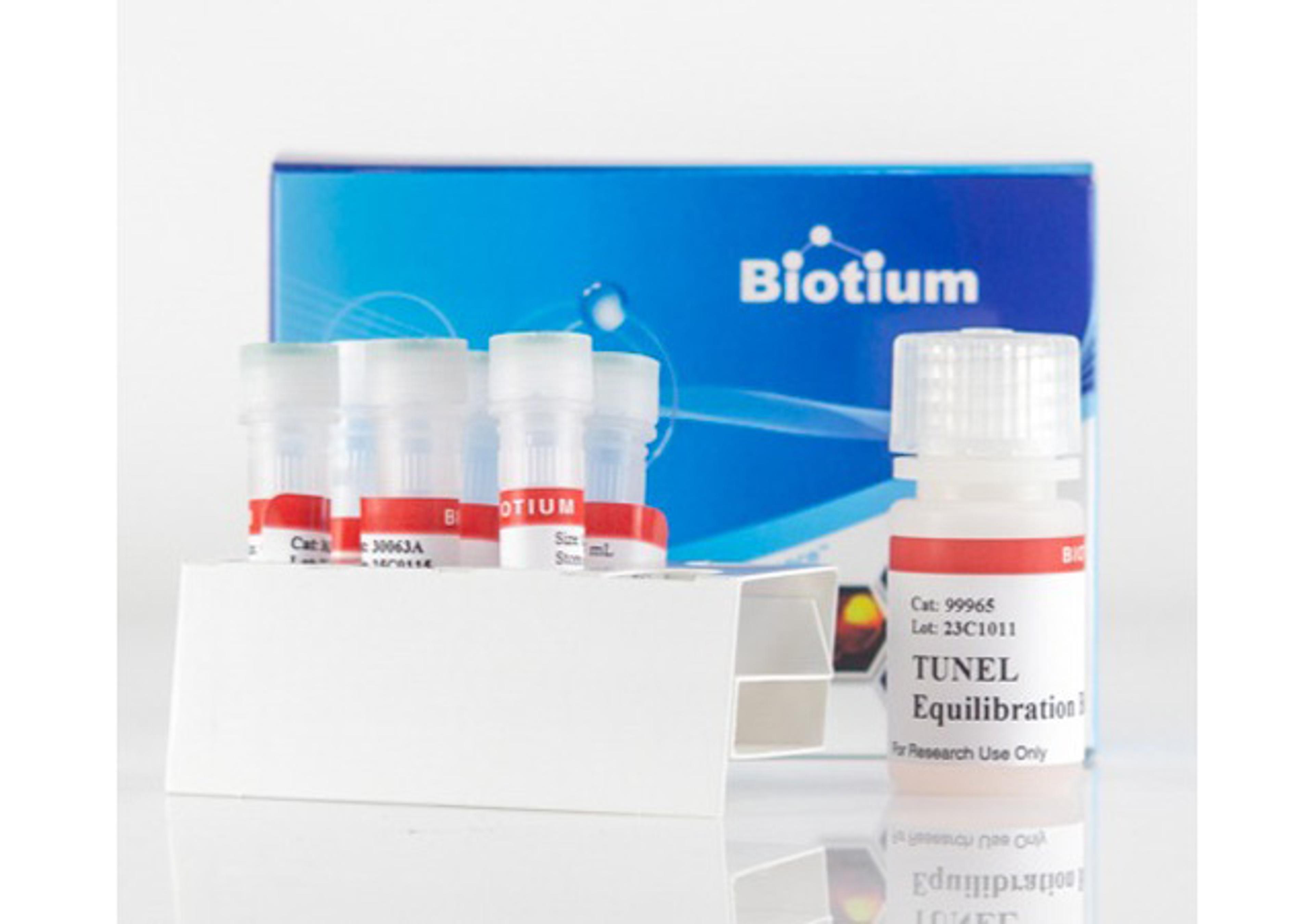 TUNEL Assay Apoptosis Detection Kit - Biotium - Life Sciences