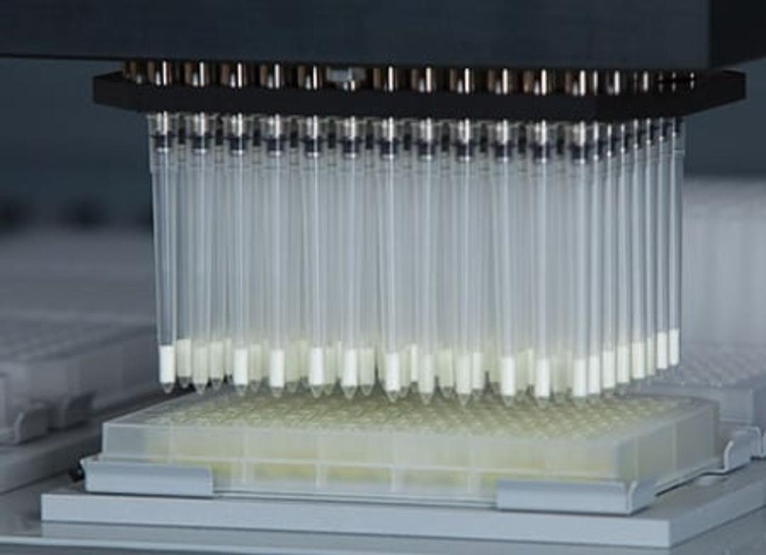 MSIA™ Microcolumns for the Freedom EVO Platform - Thermo Fisher Scientific