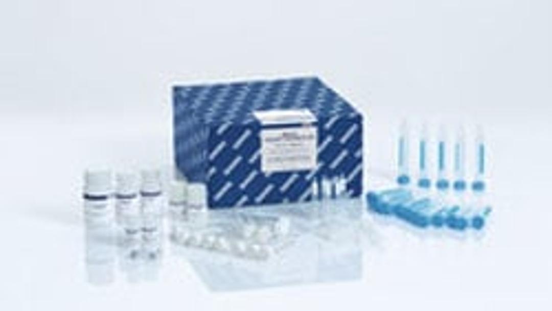 RNeasy PowerSoil Total RNA Kit - QIAGEN