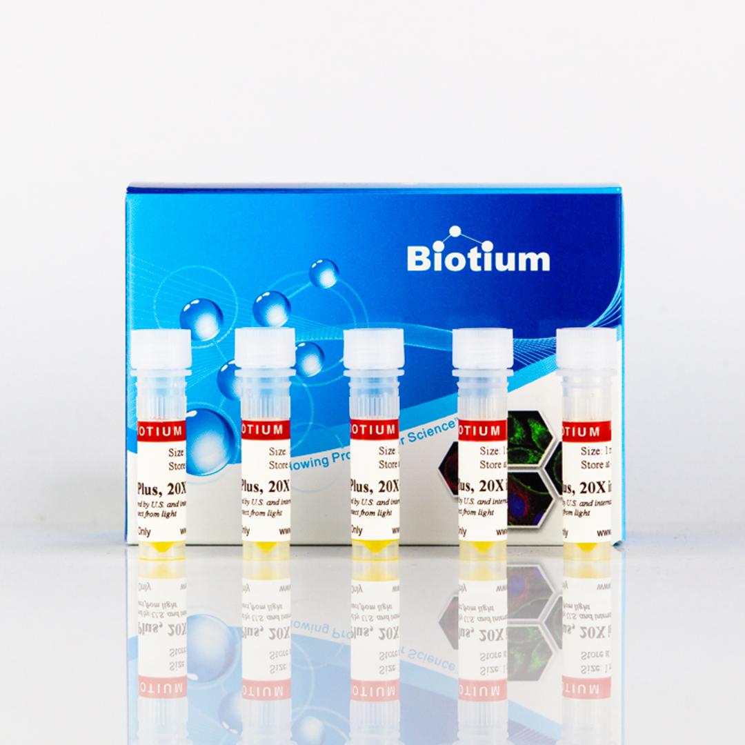 EvaGreen® Plus Dye, 20X in Water - Biotium - Life Sciences