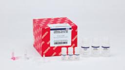 miRNeasy Tissue/Cells Advanced Mini Kit (50) - QIAGEN
