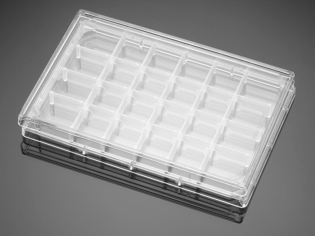 Falcon® 24-well Polystyrene Feeder Tray, with Lid, Sterile, 5/Pack, 5/Case - Corning Life Sciences - Life Sciences