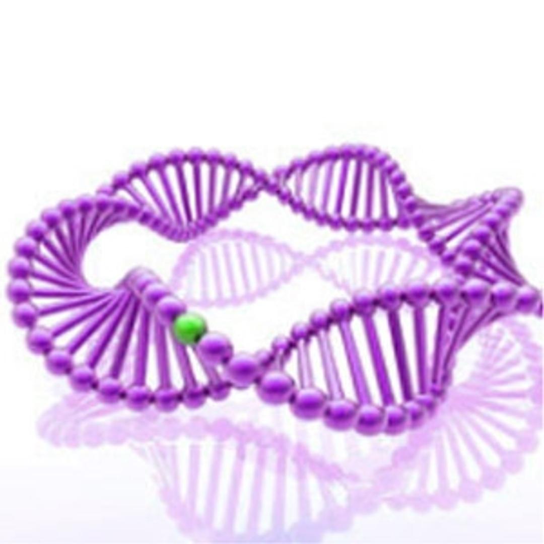 T4 DNA Ligase - Takara Bio - Life Sciences