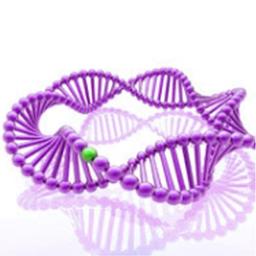 T4 DNA Ligase - Takara Bio - Life Sciences