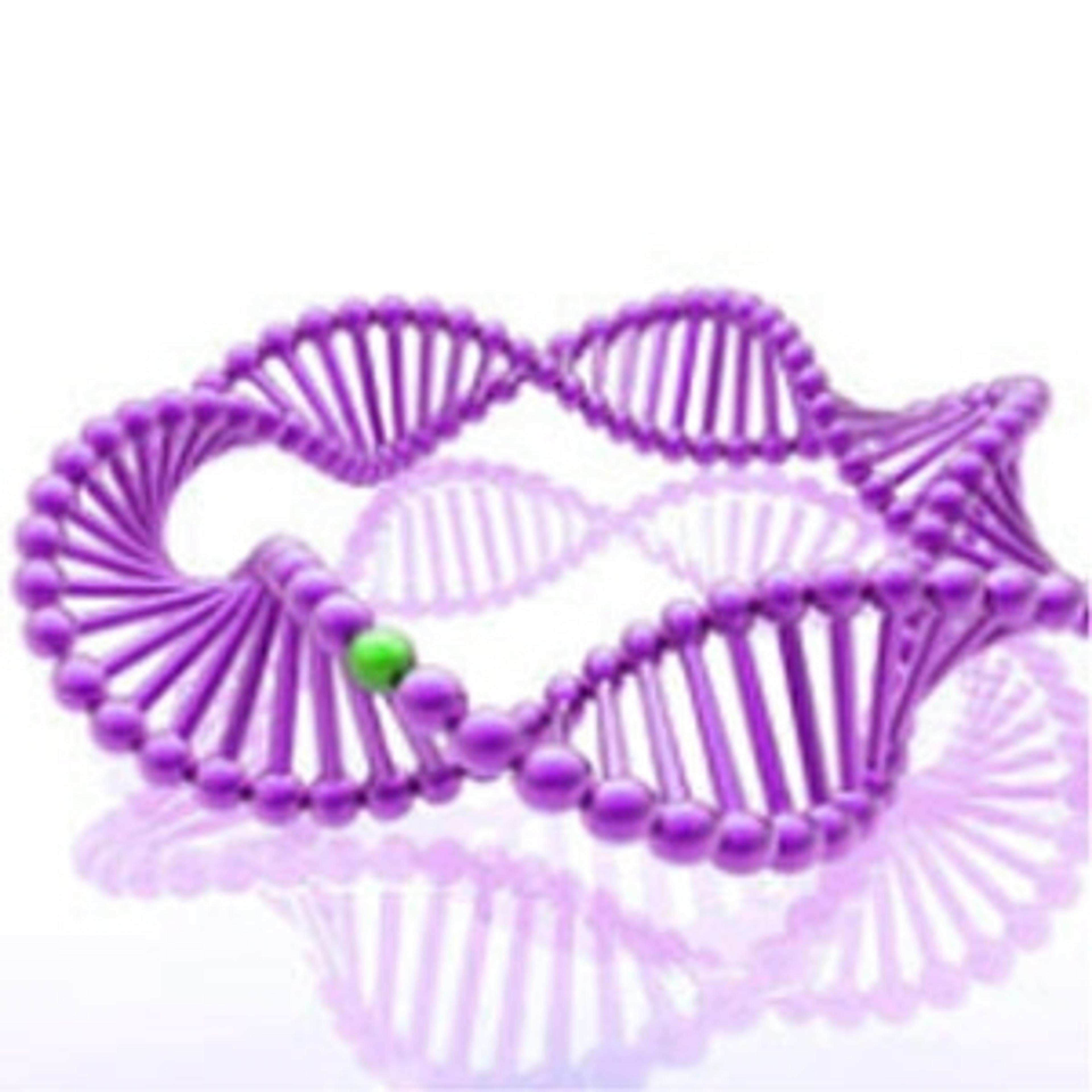 T4 DNA Ligase - Takara Bio - Life Sciences
