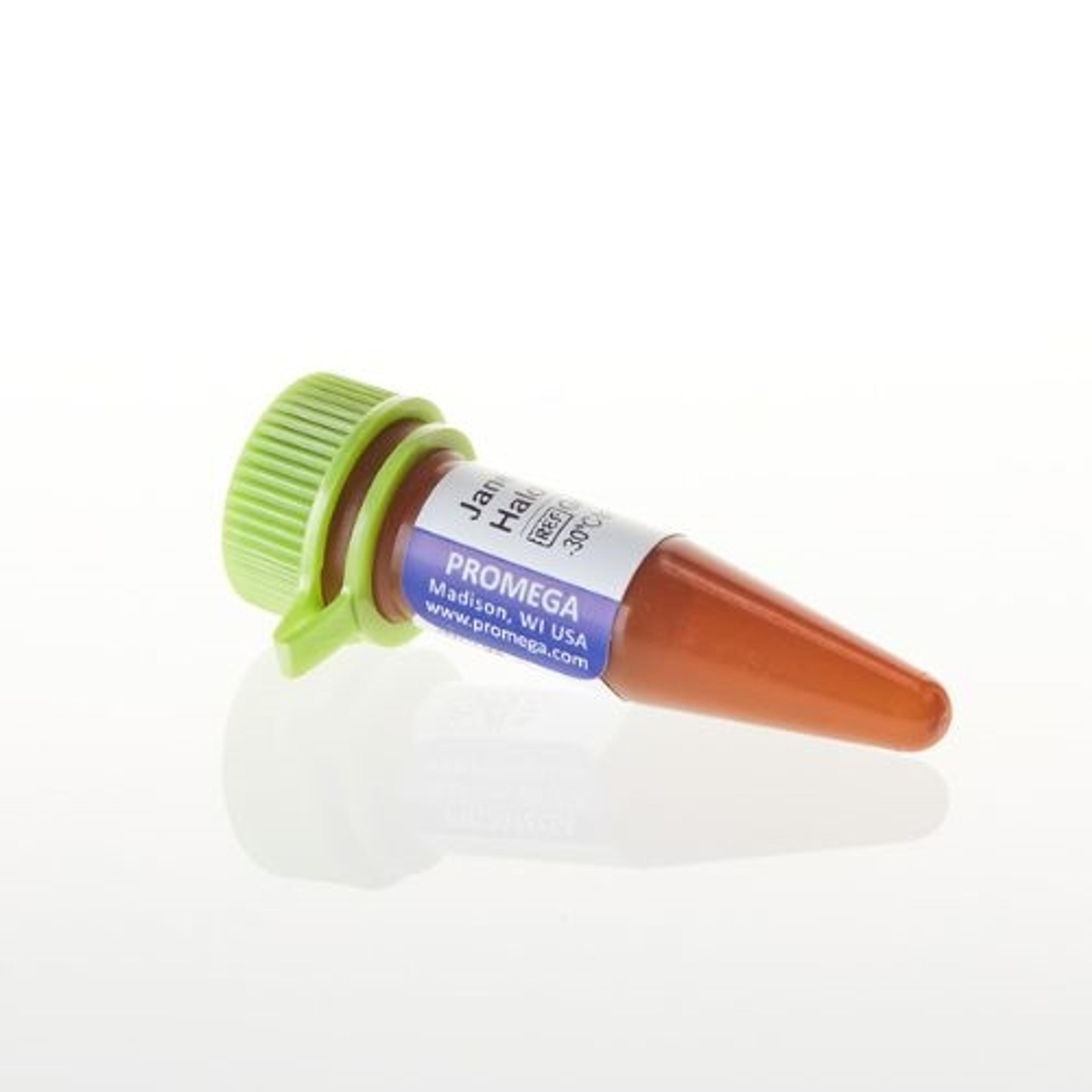 Janelia Fluor® HaloTag® Ligands - Promega Corp. - Life Sciences