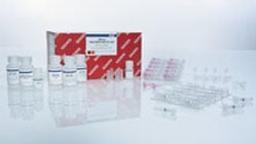 AllPrep DNA/RNA Mini Kit (50) - QIAGEN
