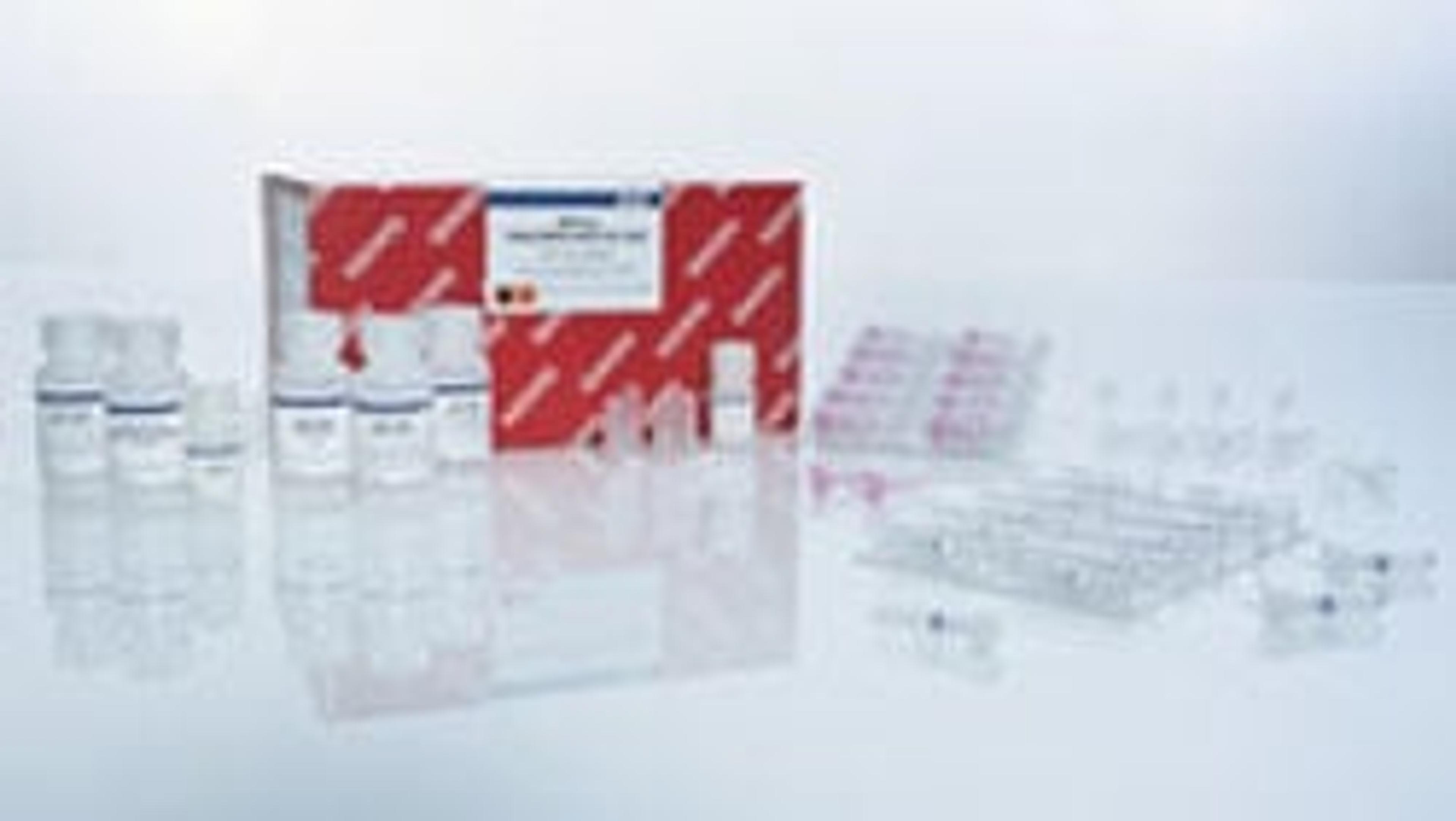 AllPrep DNA/RNA Mini Kit (50) - QIAGEN