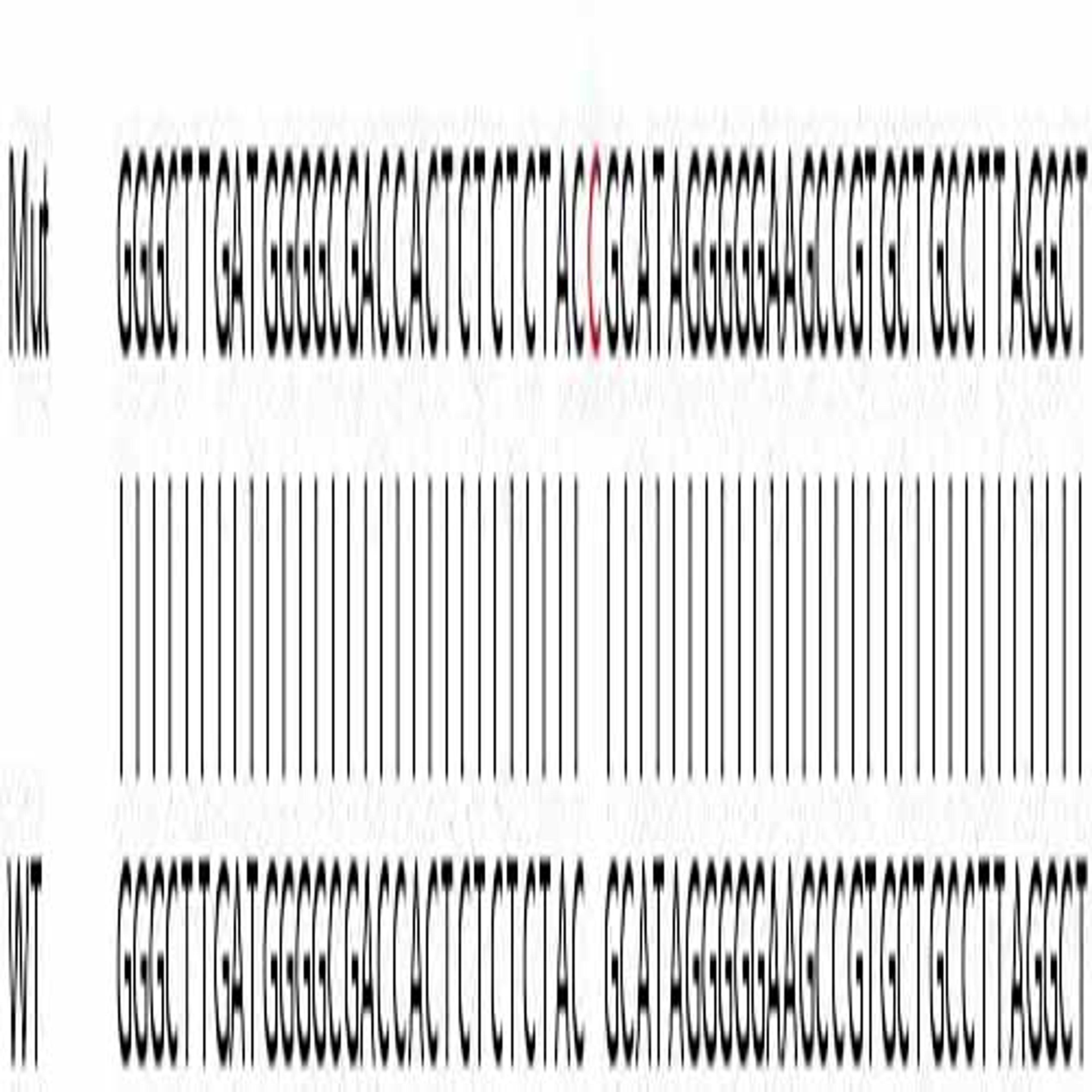 Human BRD2 knockout HEK293T cell line - Abcam plc - Life Sciences