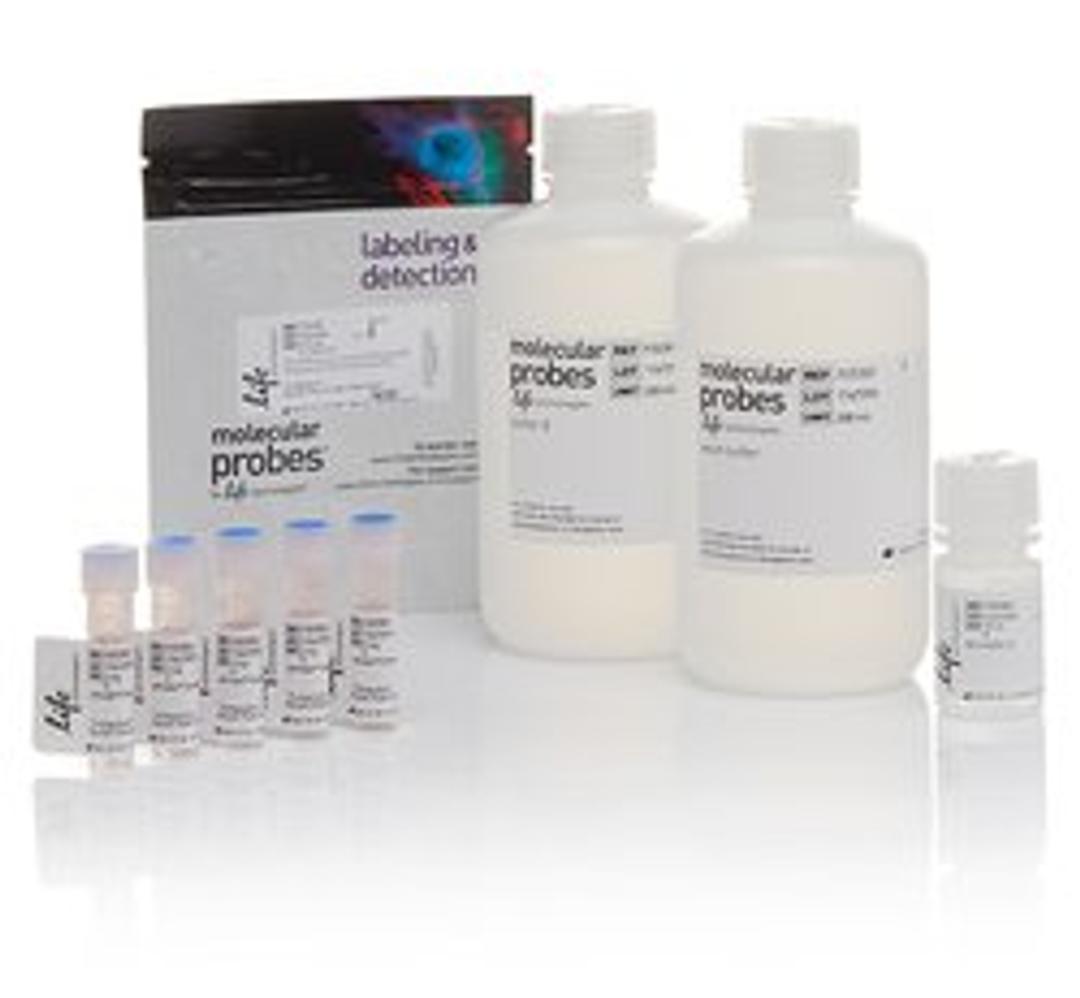 Invitrogen™ pHrodo™ Green S. aureus BioParticles™ Phagocytosis Kit for Flow Cytometry  - Thermo Fisher Scientific - Life Sciences