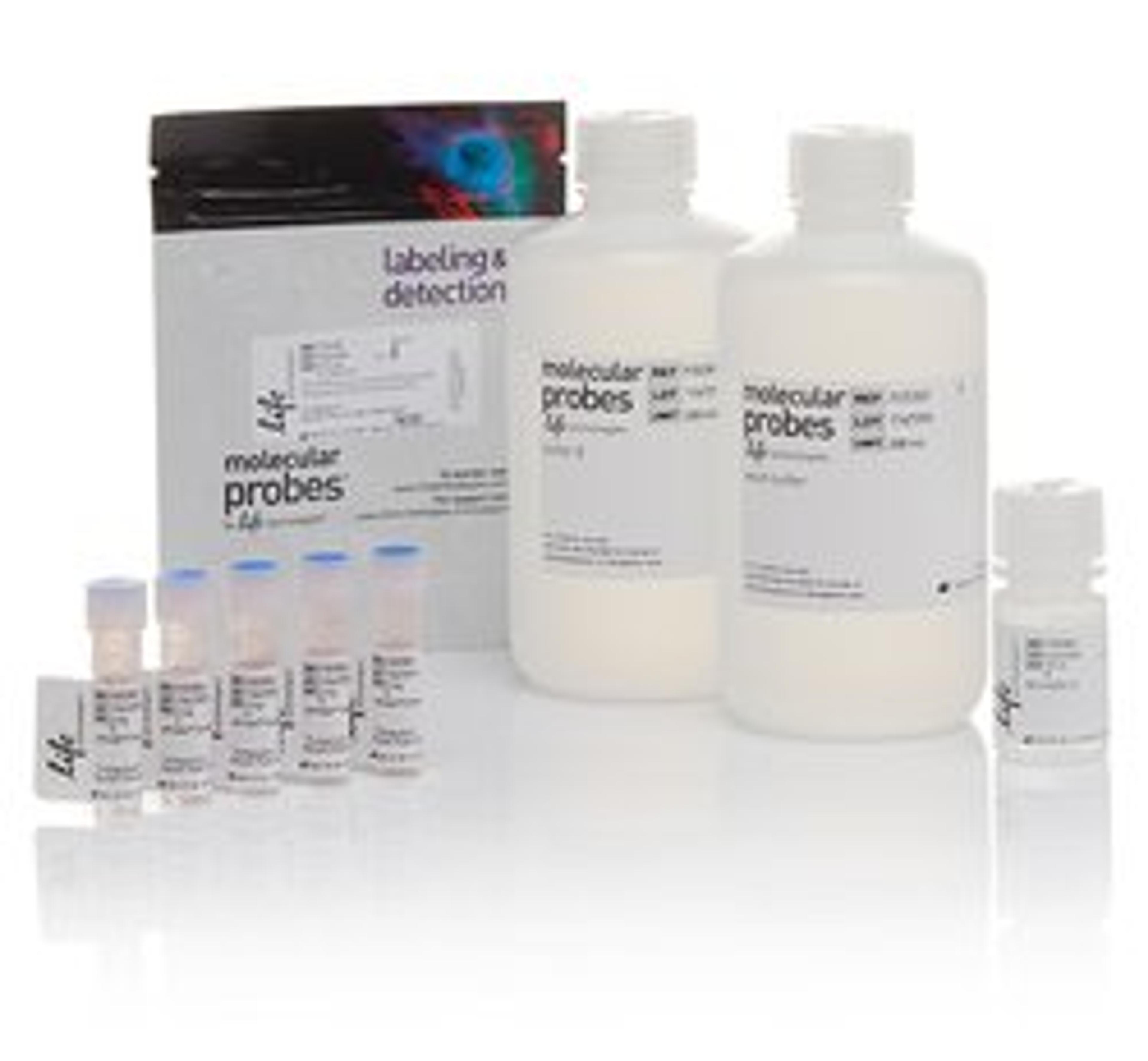 Invitrogen™ pHrodo™ Green S. aureus BioParticles™ Phagocytosis Kit for Flow Cytometry  - Thermo Fisher Scientific - Life Sciences