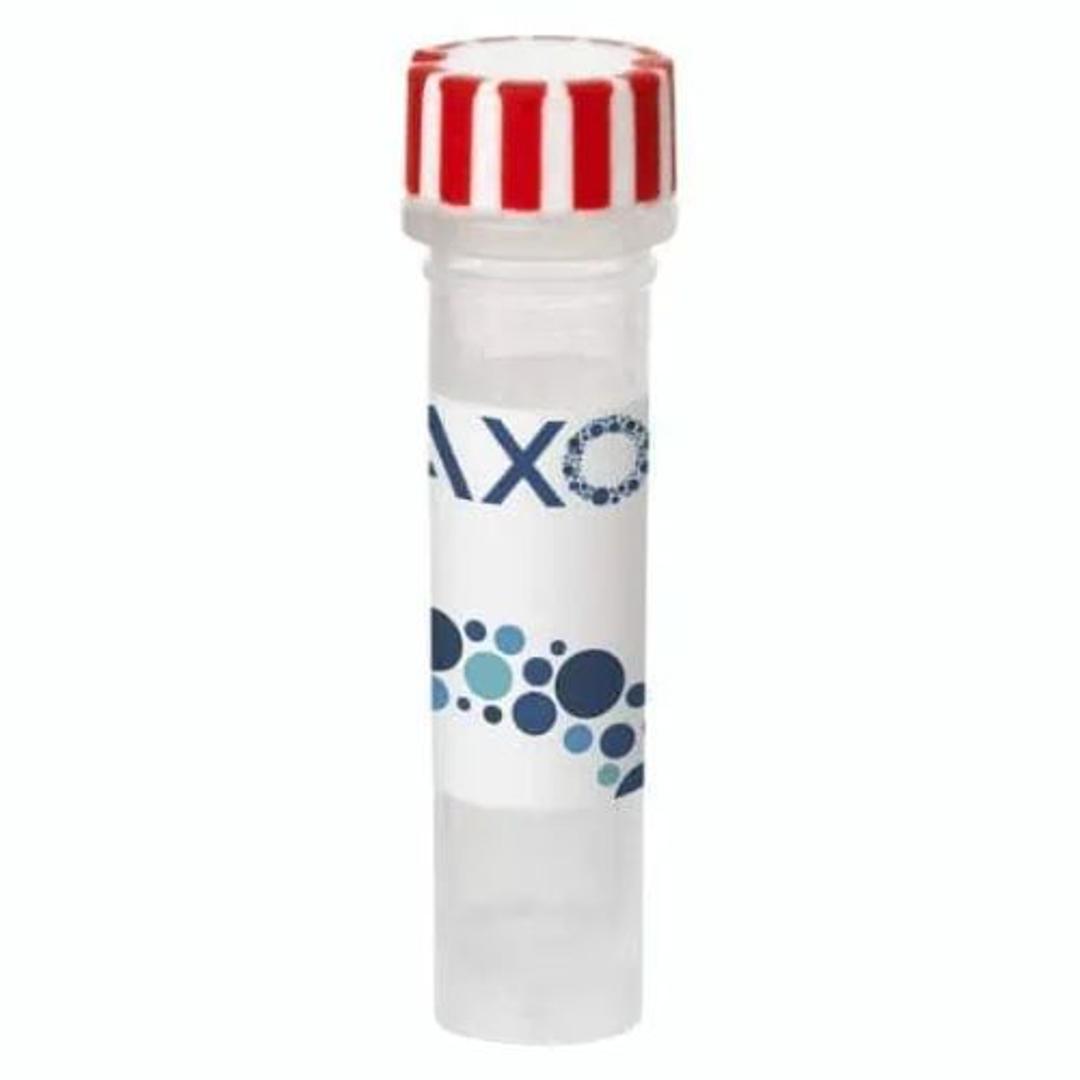 axoCells™ SureBond-XF Coating, 1 ml  - Axol Bioscience - Life Sciences