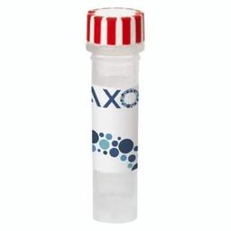 axoCells™ SureBond-XF Coating, 1 ml - Axol Bioscience - Life Sciences