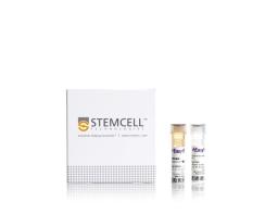 EasySep Human CD2 Positive Selection Kit II - STEMCELL Technologies Inc. - Life Sciences