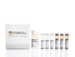 EasySep™ HLA Chimerism Whole Blood CD19 Positive Selection Kit - STEMCELL Technologies Inc. - Life Sciences