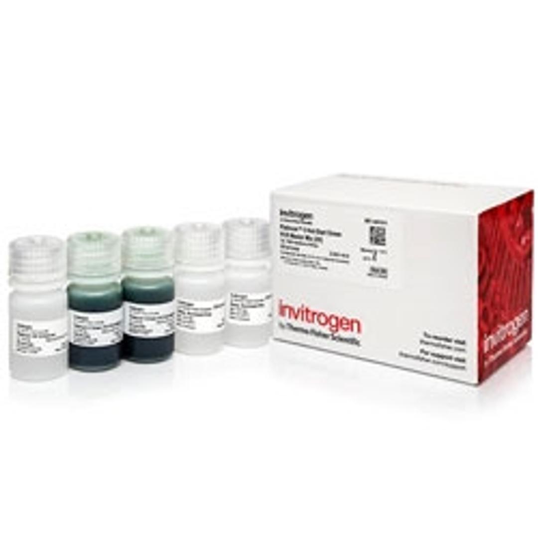 Invitrogen Platinum II Hot-Start Green PCR Master Mix (2X) - Thermo Fisher Scientific - Life Sciences