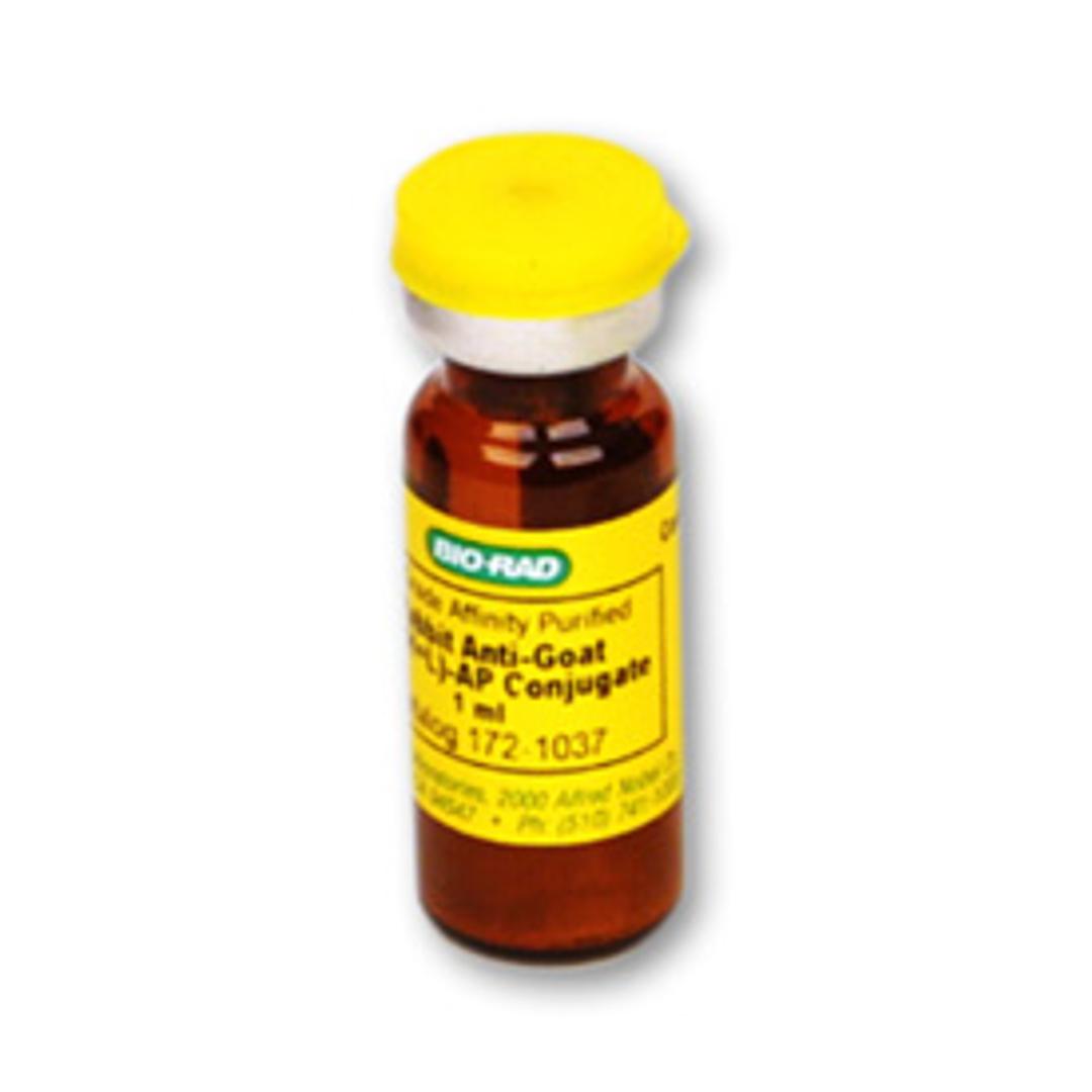 Rabbit Anti-Goat IgG (H+L)-AP Conjugate - Bio-Rad - Life Sciences