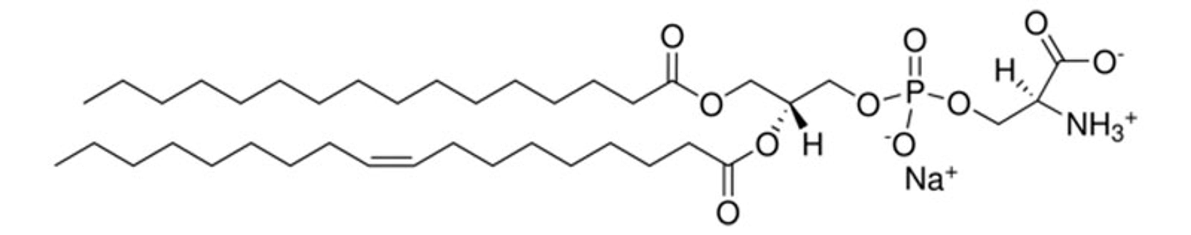 AvantiĀ® Polar Lipids 16:0-18:1 PS (POPS) - Merck KGaA, Darmstadt, Germany - Drug discovery > Drug Manufacturing