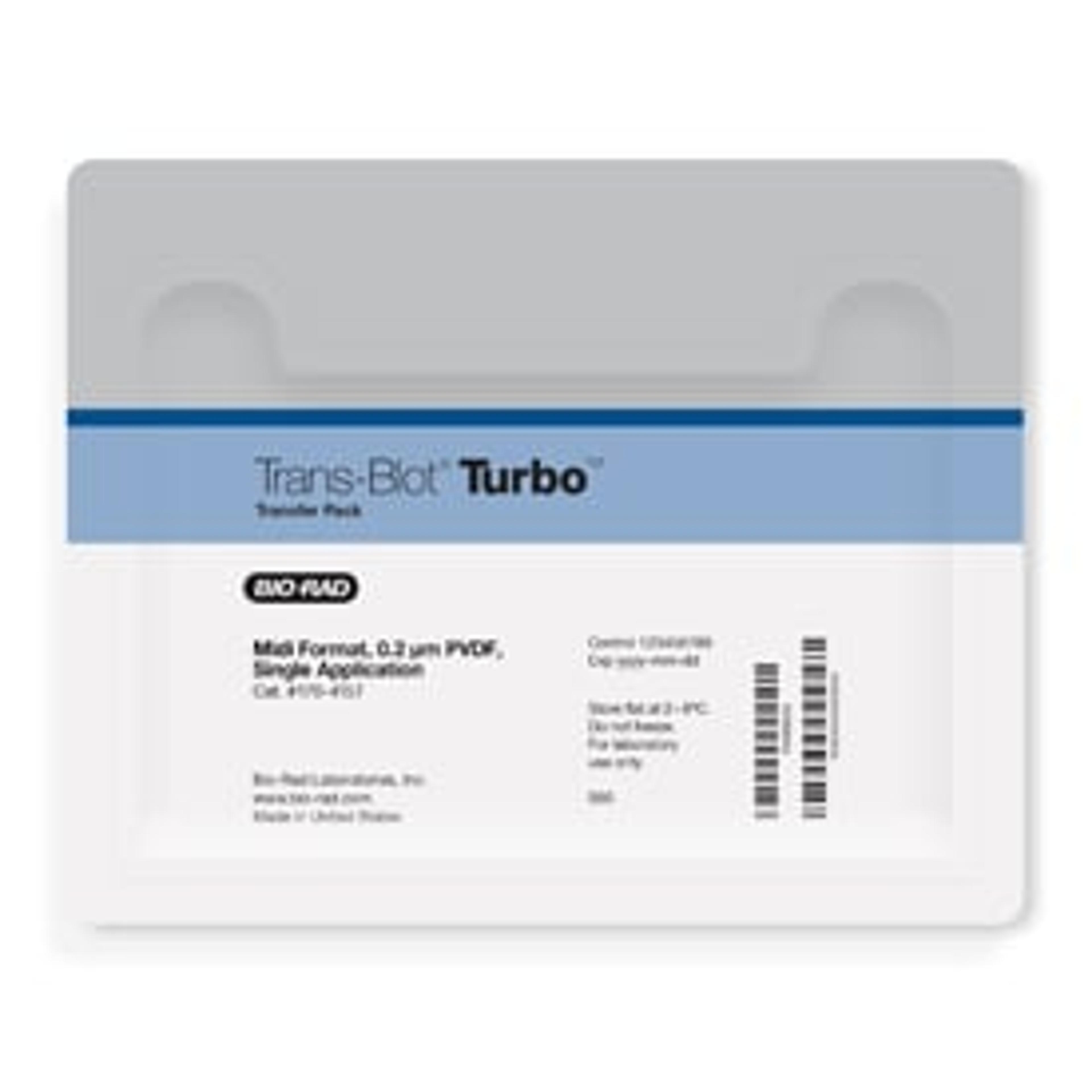 Trans-Blot® Turbo™ Midi PVDF Transfer Packs - Bio-Rad - Life Sciences