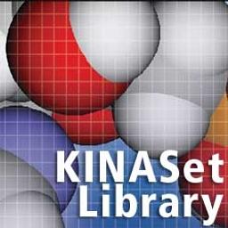 KINASet Kinase Directed Library - ChemBridge Corporation - Drug discovery > Target Discovery