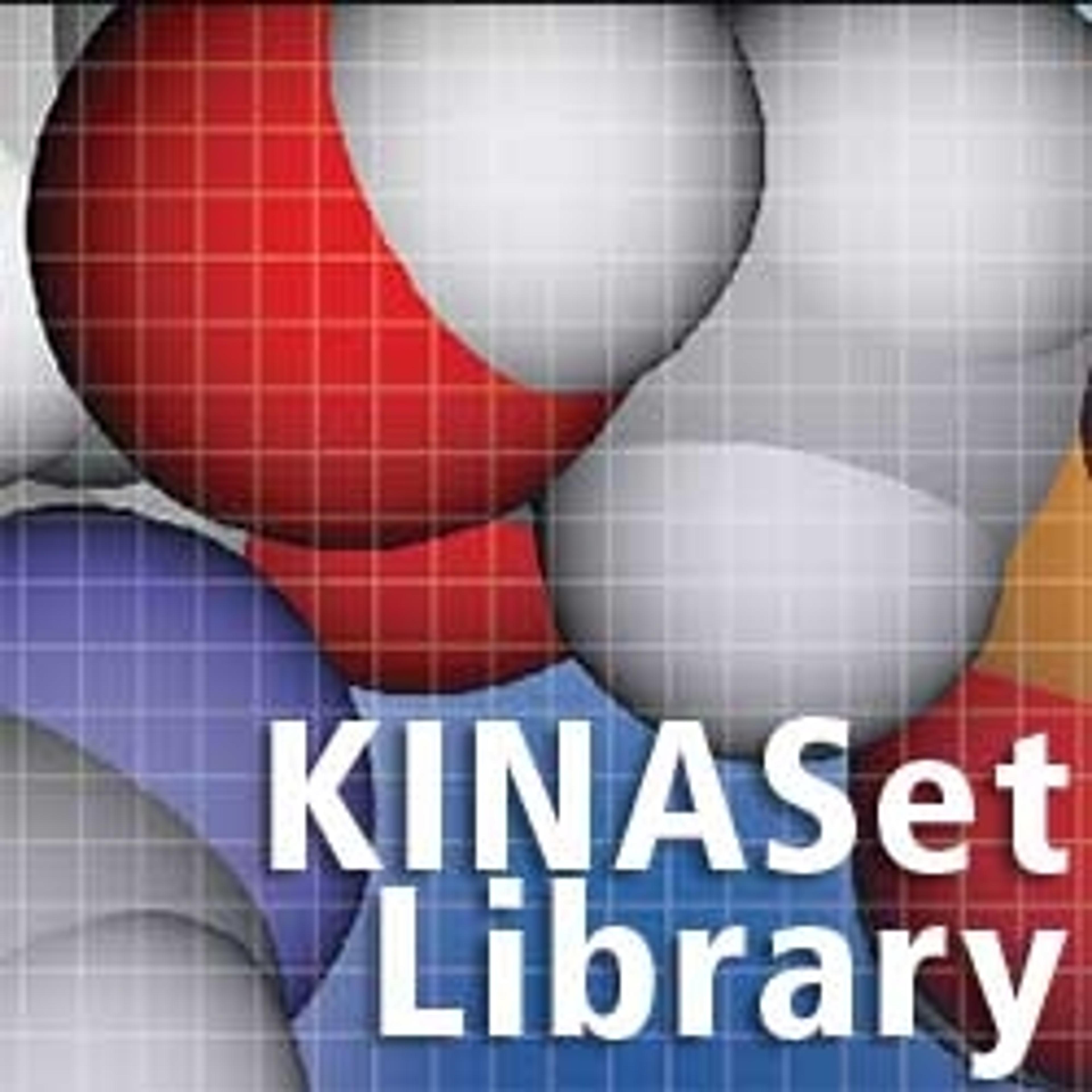 KINASet Kinase Directed Library - ChemBridge Corporation - Drug discovery > Target Discovery