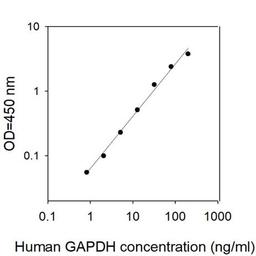 Human GAPDH ELISA - RayBiotech Inc. - Life Sciences