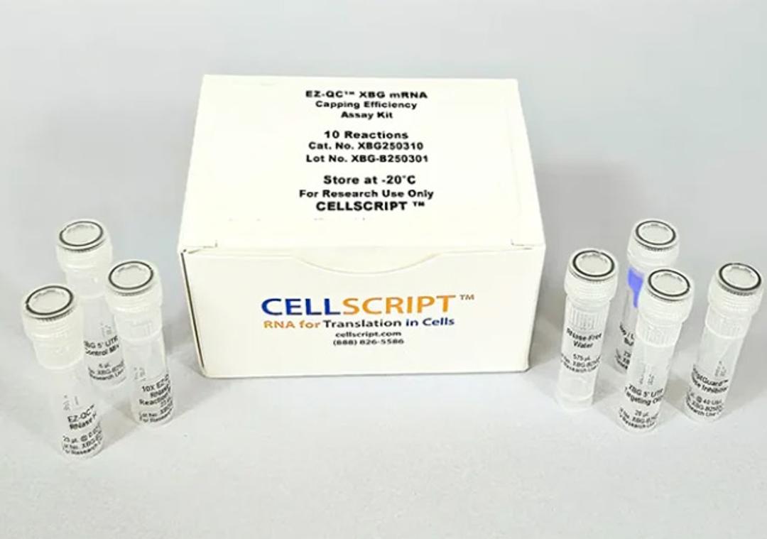 EZ-QC™ XBG mRNA Capping Efficiency Assay Kit - CELLSCRIPT™ - Life Sciences