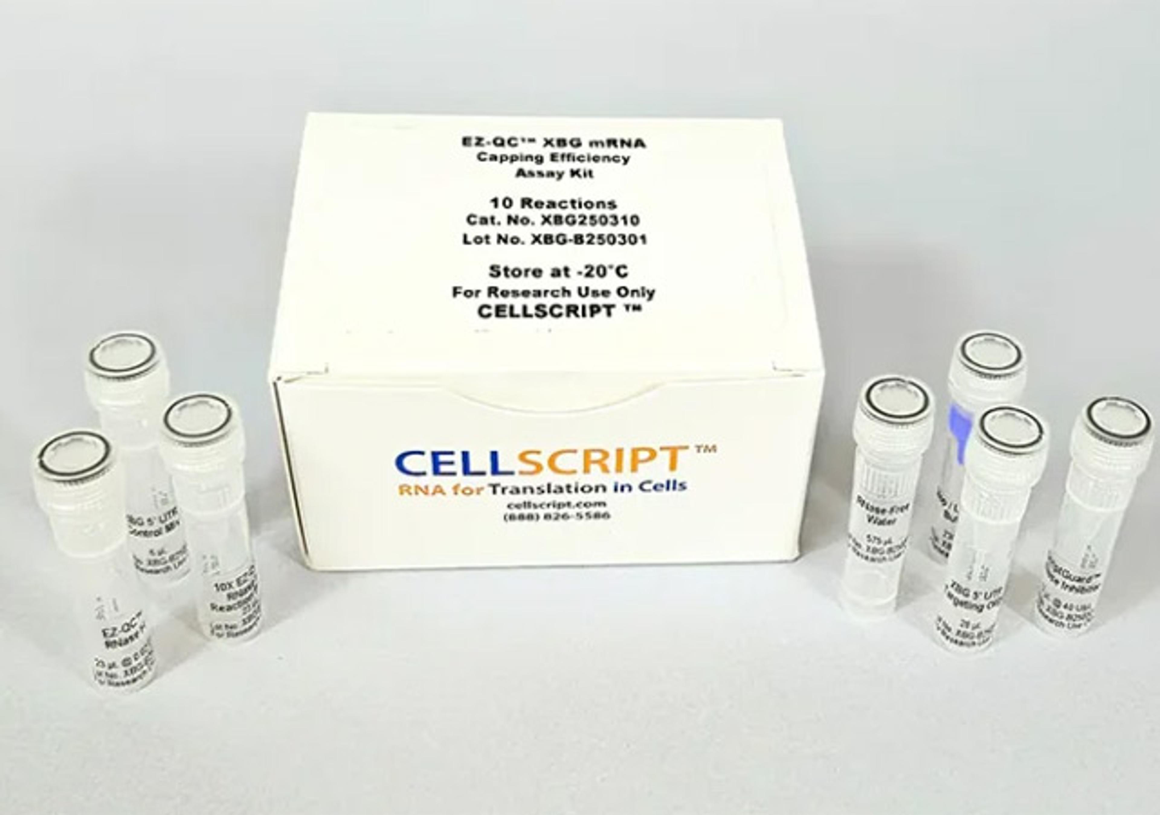 EZ-QC™ XBG mRNA Capping Efficiency Assay Kit - CELLSCRIPT™ - Life Sciences