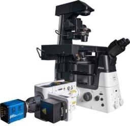 Nikon Microscope with Yokogawa CSU-X1 Spinning Disk Confocal - Nikon Healthcare Business – Microscope Solutions - Life Sciences