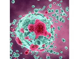 PDX Mouse Clinical Trials (MCTs) - Crown Bioscience - Drug discovery > Pre-Clinical Development