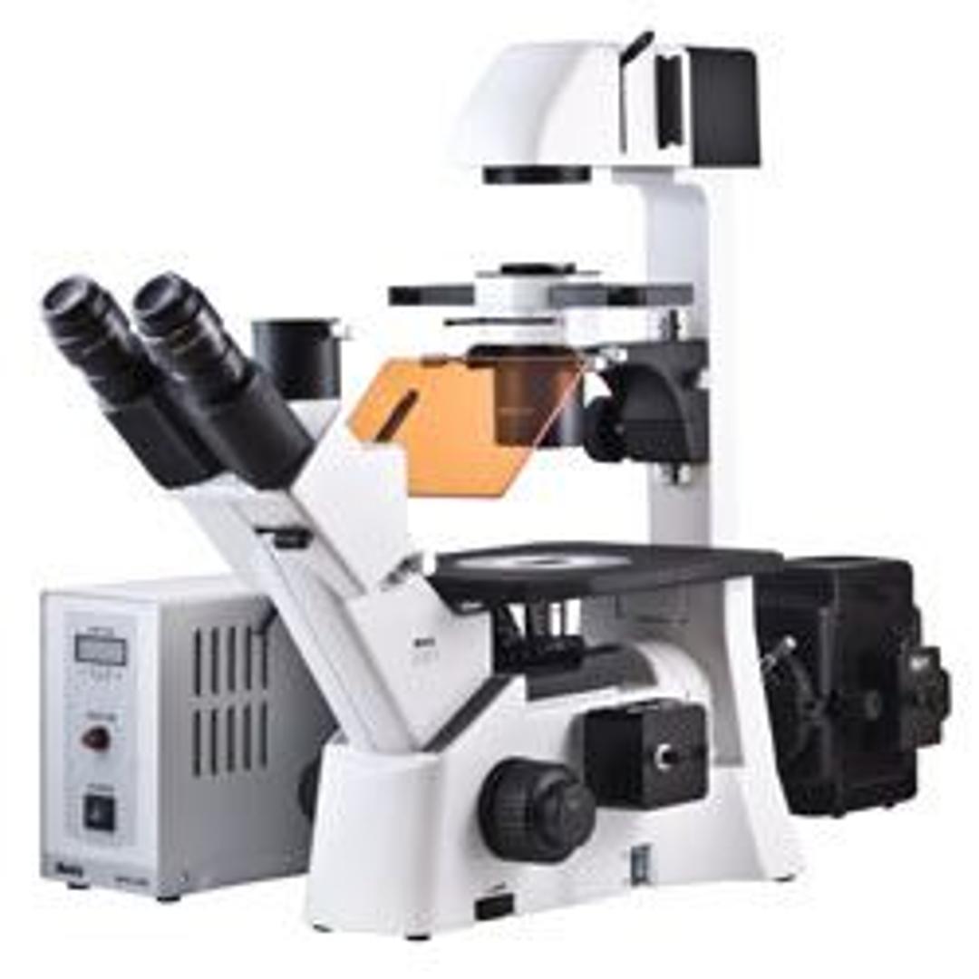 AE30 Series - Upgradeable Live Cell Microscope Platform - Motic Europe - Life Sciences