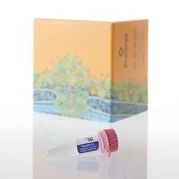 Human Genomic DNA - Promega Corp. - Life Sciences