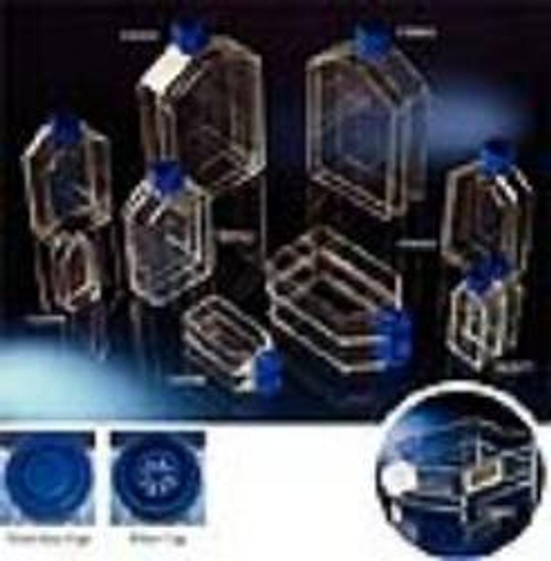 Flasks - NUNC - Life Sciences