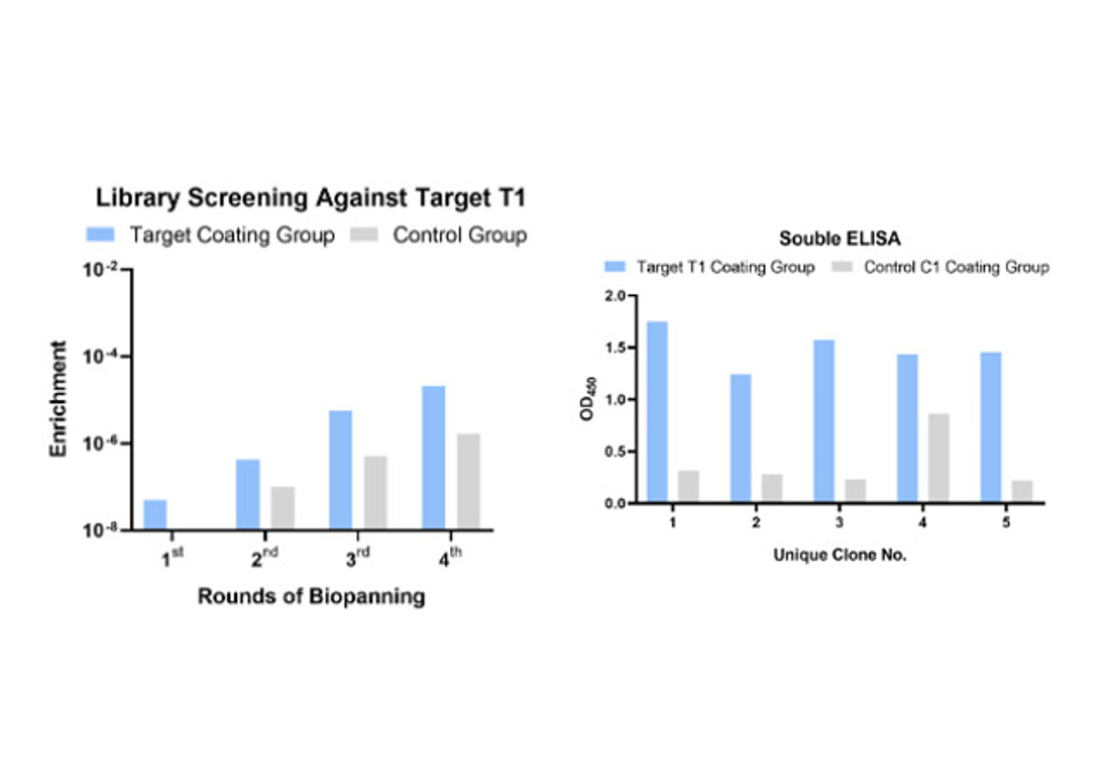 Phage Display AlVHHL-2 Alpaca Naïve Single Domain Antibody Library Screening Service