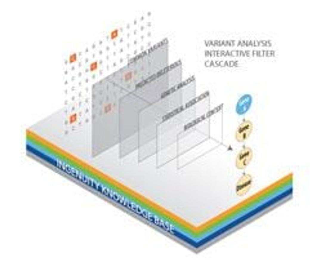 Variant Analysis - Ingenuity Systems Inc. - Life Sciences
