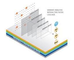 Variant Analysis - Ingenuity Systems Inc. - Life Sciences