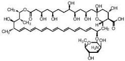 Amphotericin B solubilized - Merck - Life Sciences