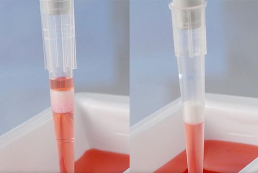 Thermo Scientific™ ART ™ Barrier Pipette Tips - Thermo Fisher Scientific - General Lab