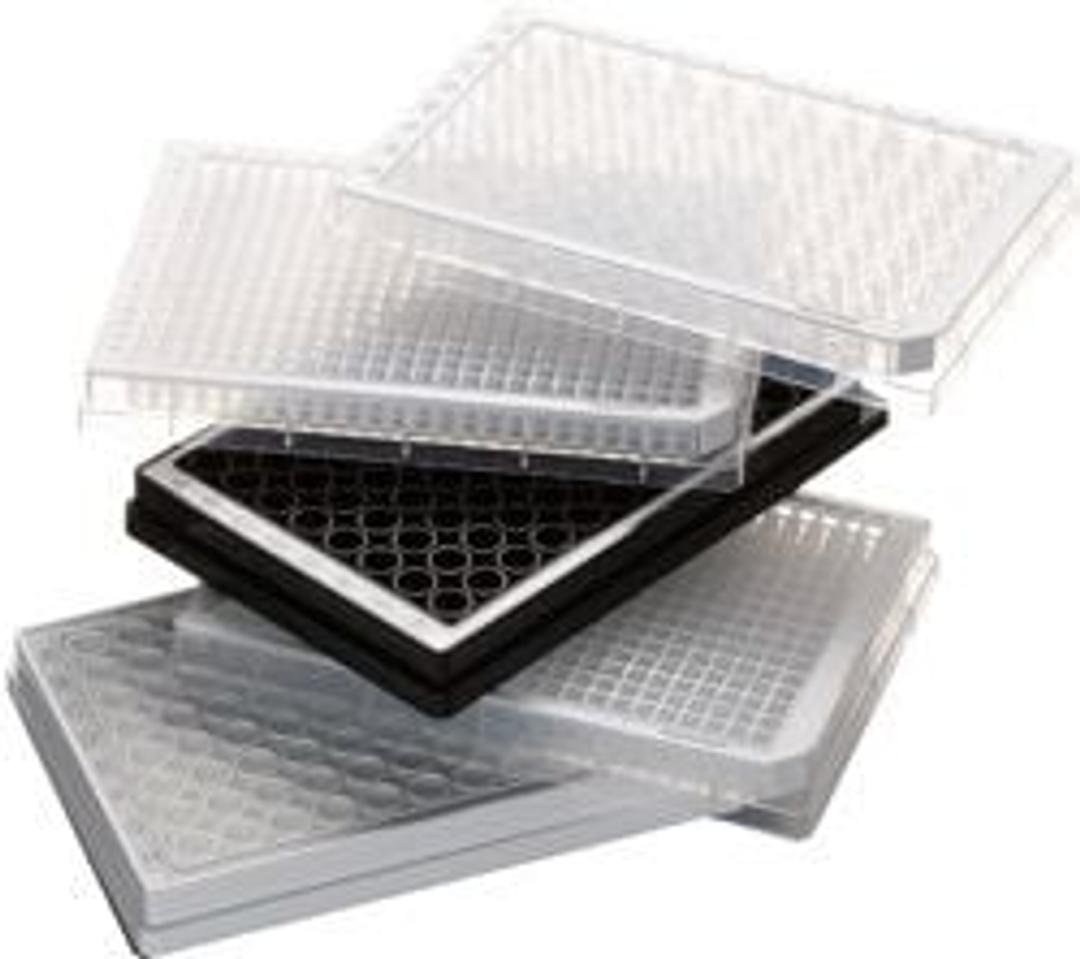 Microplates Polypropylene - Eppendorf - Life Sciences