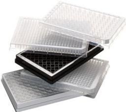 Microplates Polypropylene - Eppendorf - Life Sciences