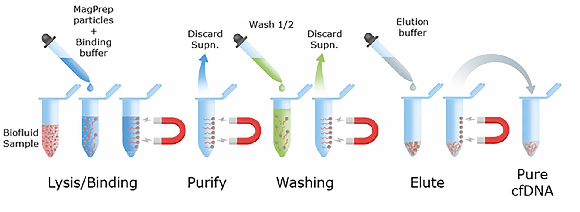 MagPrep® Magnetic particles method to isolate nucleic acids