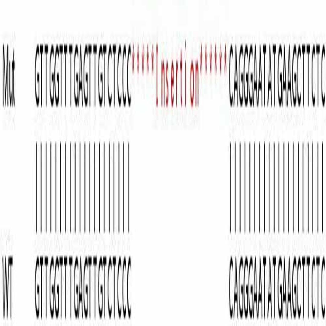 Human GNA13 knockout HeLa cell line - Abcam plc - Life Sciences