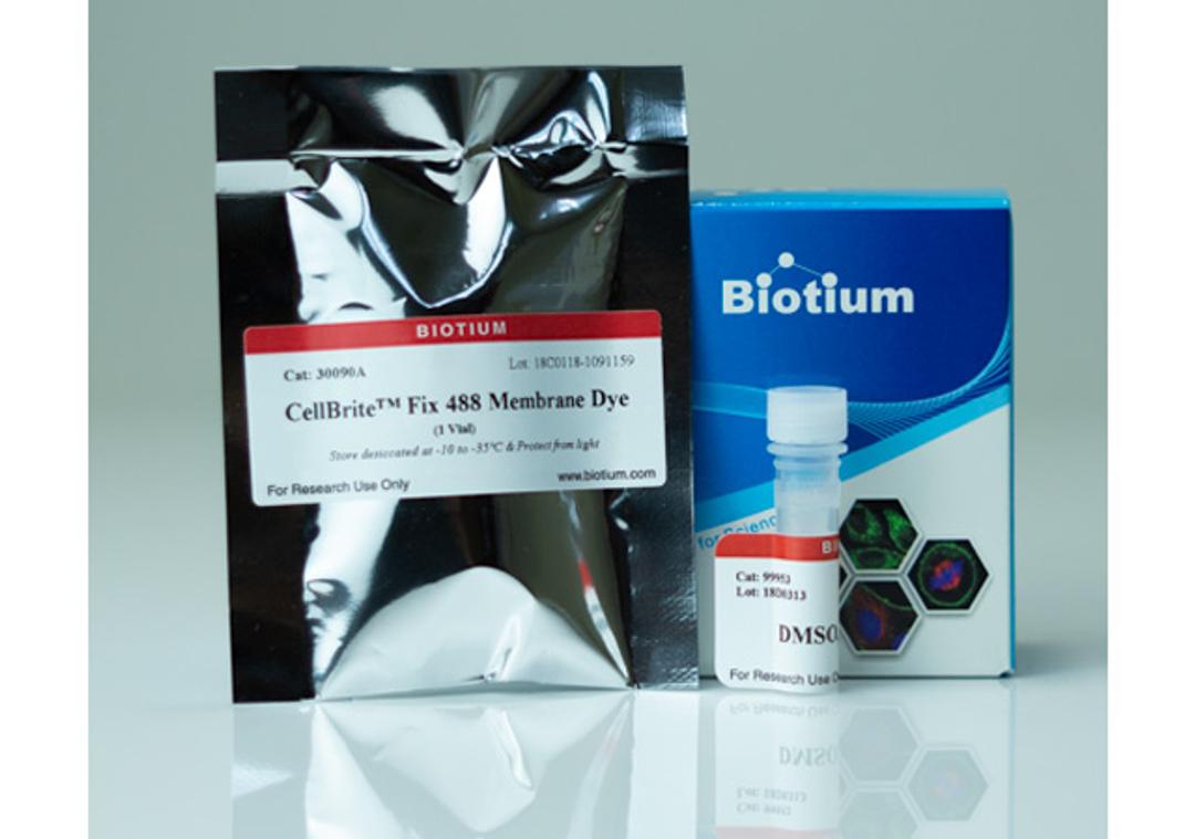CellBrite® Fix Membrane Stains - Biotium - Life Sciences