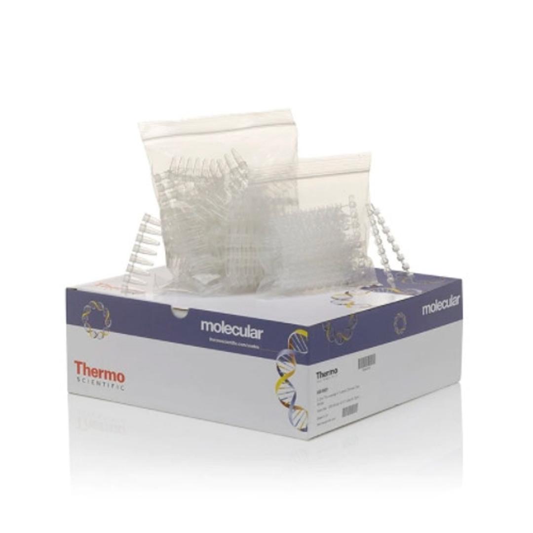 Tubes and Domed Caps, strips of 8 - Thermo Fisher Scientific - Life Sciences