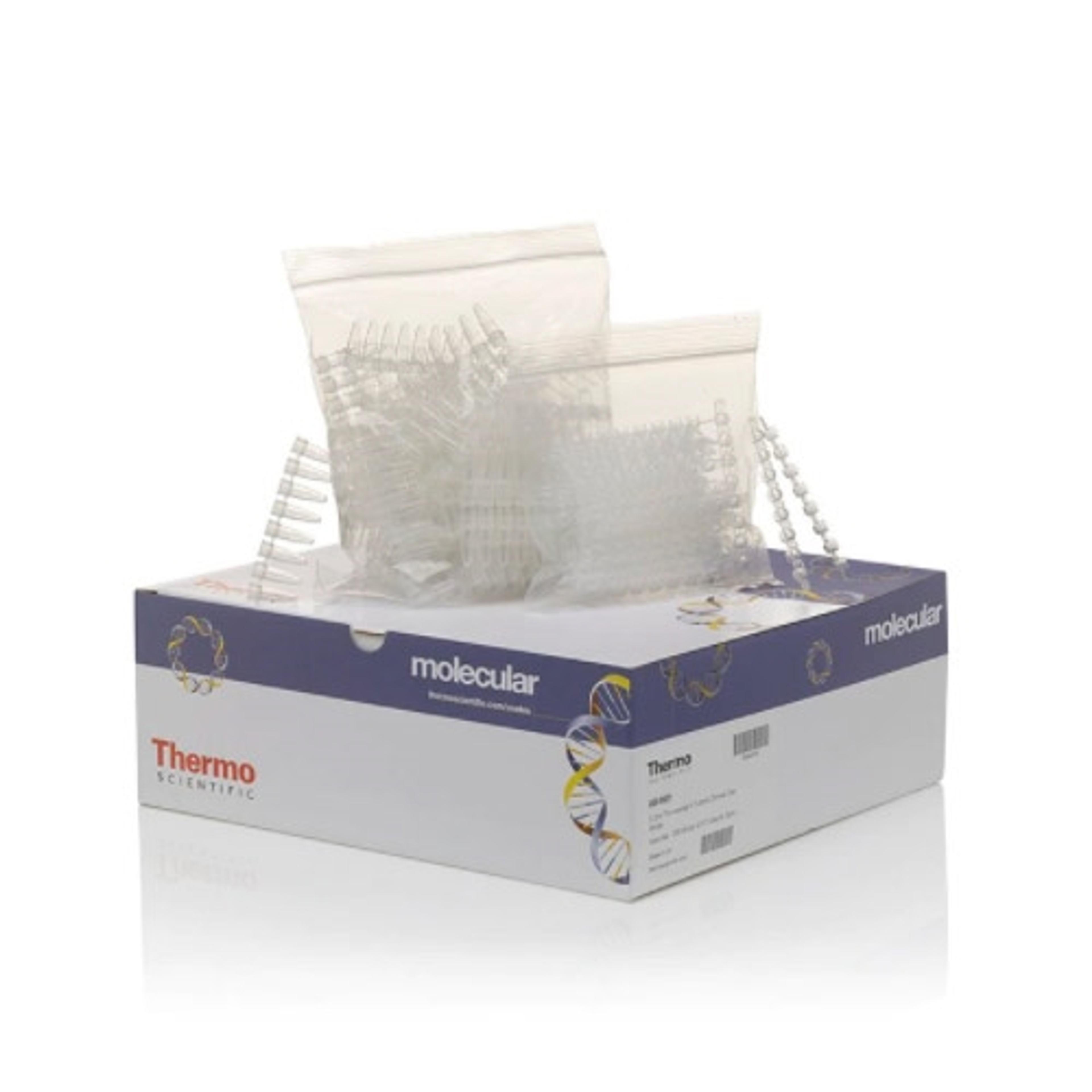 Tubes and Domed Caps, strips of 8 - Thermo Fisher Scientific - Life Sciences