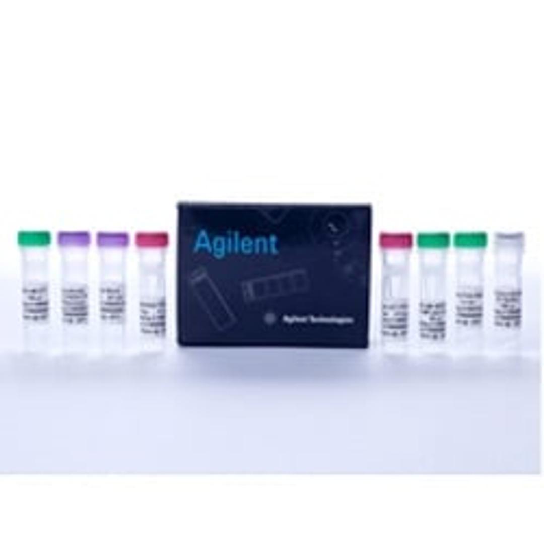 AccuScript High-Fidelity RT-PCR Kit - Agilent Technologies - Life Sciences