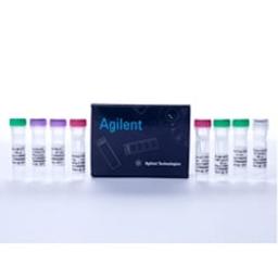 AccuScript High-Fidelity RT-PCR Kit - Agilent Technologies - Life Sciences