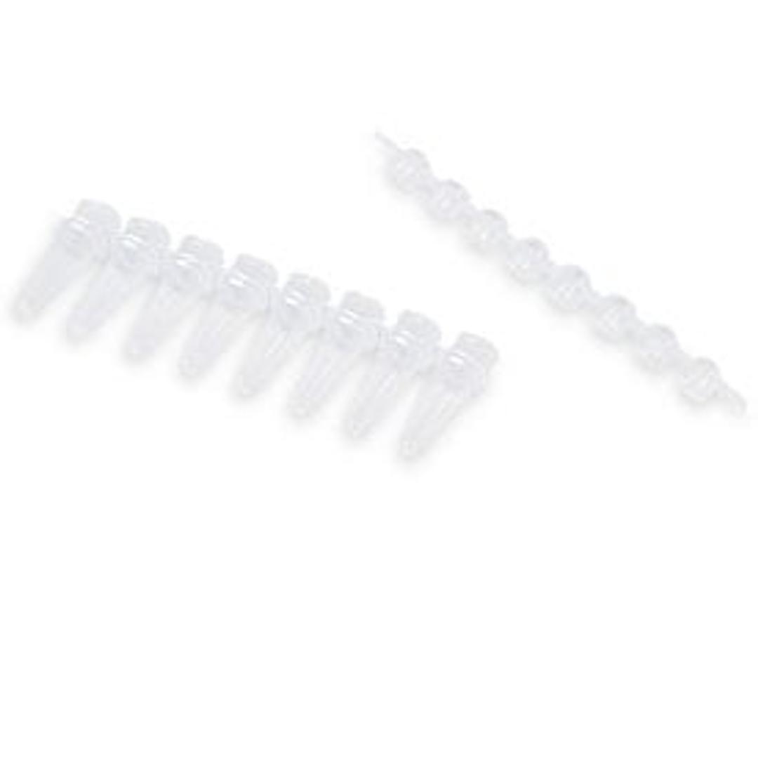 0.2 ml 8-Tube PCR Strips and Domed Cap Strips, high profile, clear - Bio-Rad - Life Sciences