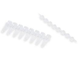 0.2 ml 8-Tube PCR Strips and Domed Cap Strips, high profile, clear - Bio-Rad - Life Sciences