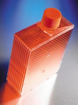 Corning® 33 mm Polyethylene Cap, Not Vented - Corning Life Sciences - Life Sciences